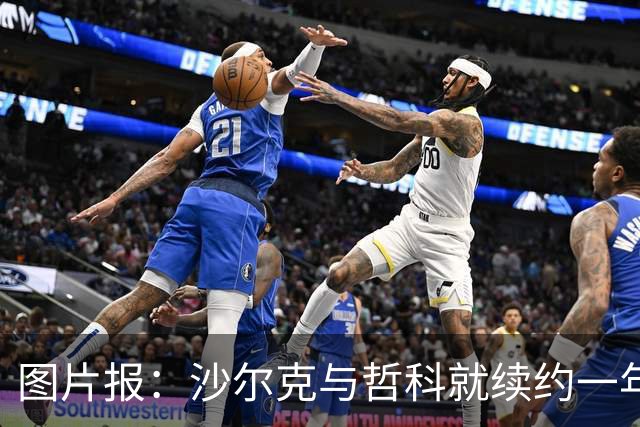 图片报：沙尔克与哲科就续约一年达成一致，年薪最高可达130万欧