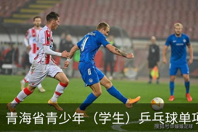 青海省青少年（学生）乒乓球单项赛开赛